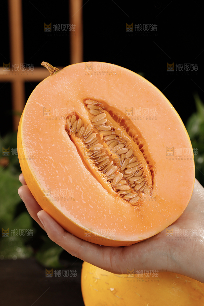 黄河蜜瓜