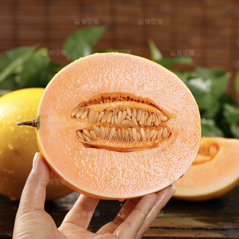黄河蜜瓜