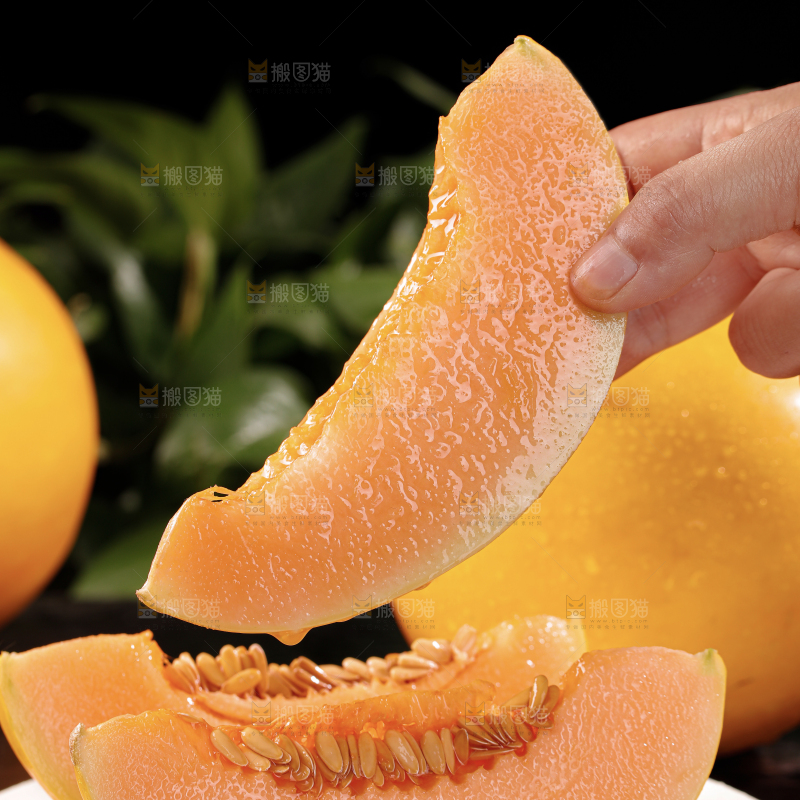 黄河蜜瓜