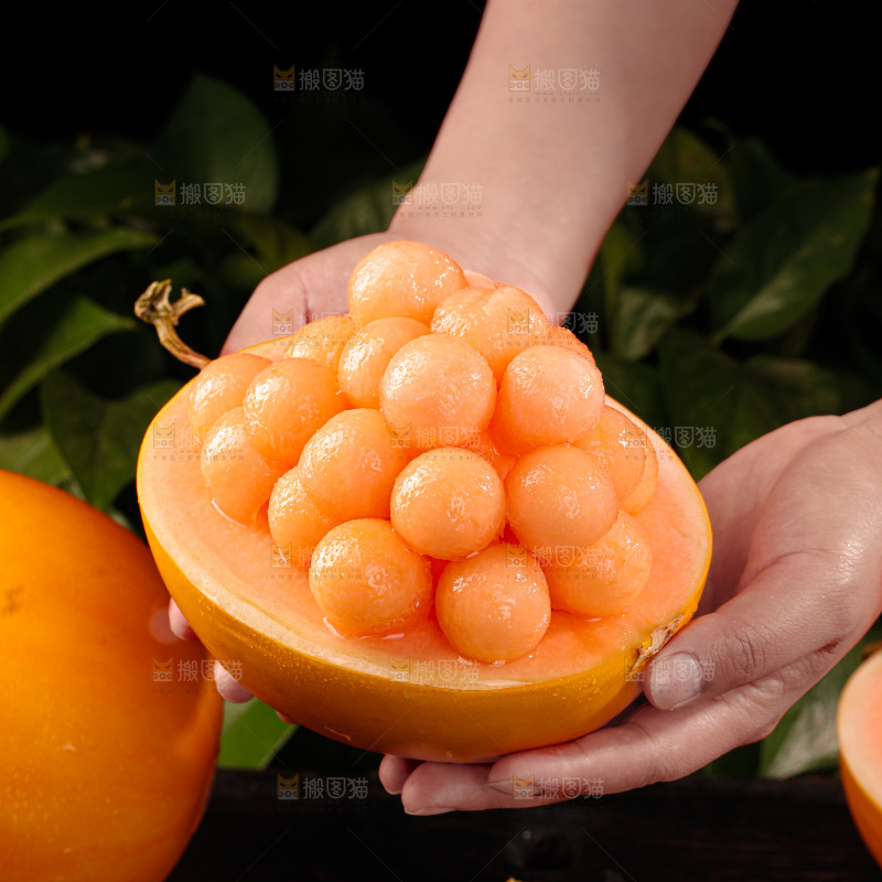 黄河蜜瓜