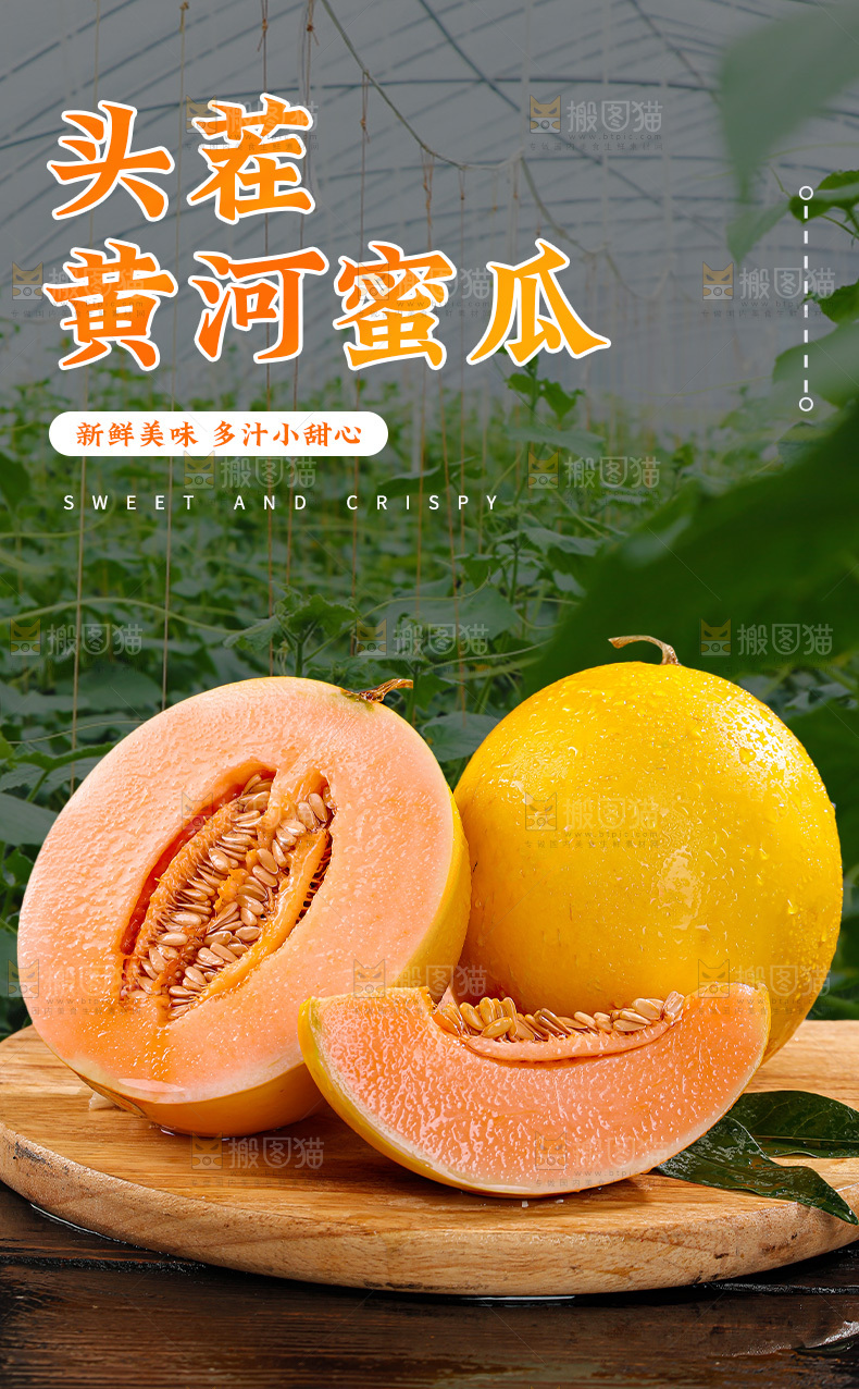 黄河蜜瓜详情页