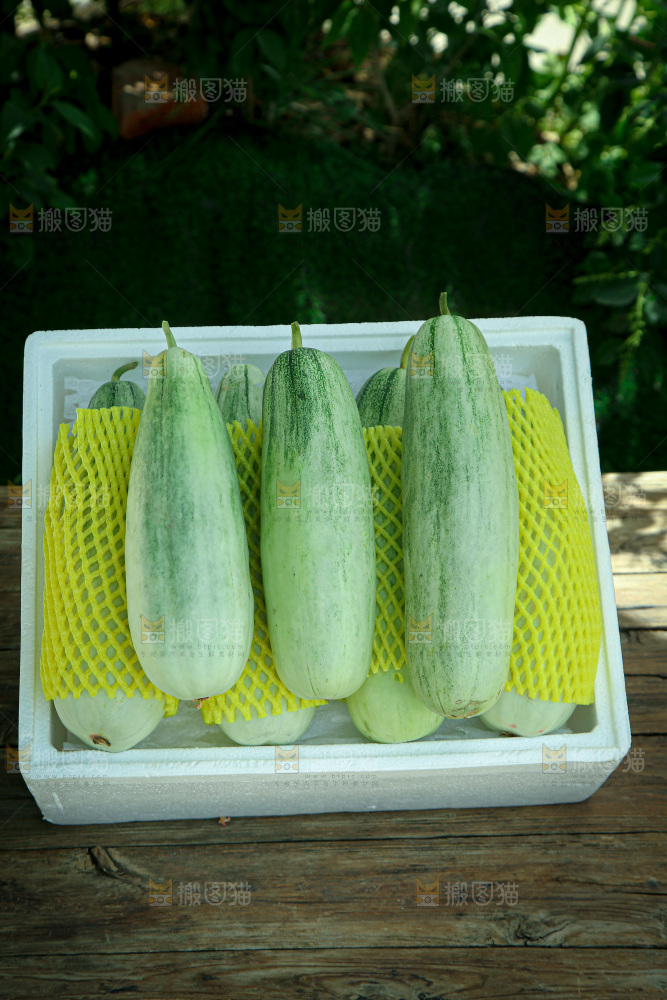 羊角蜜甜瓜