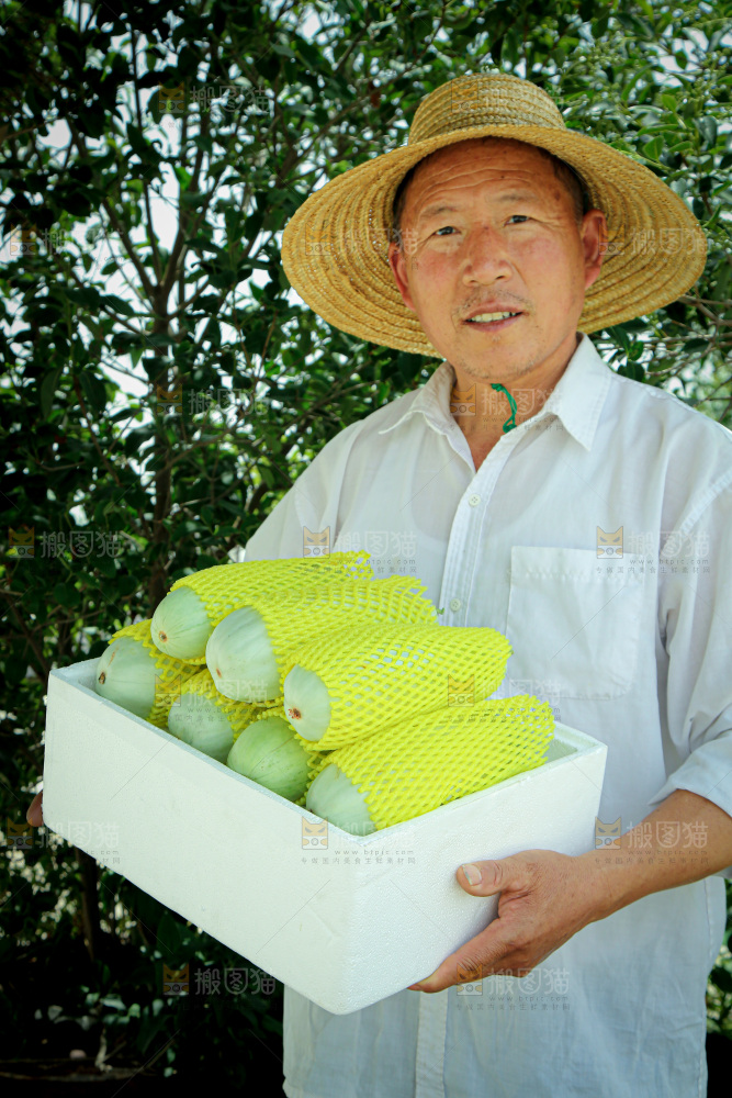 羊角蜜甜瓜