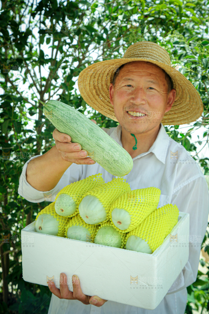 羊角蜜甜瓜