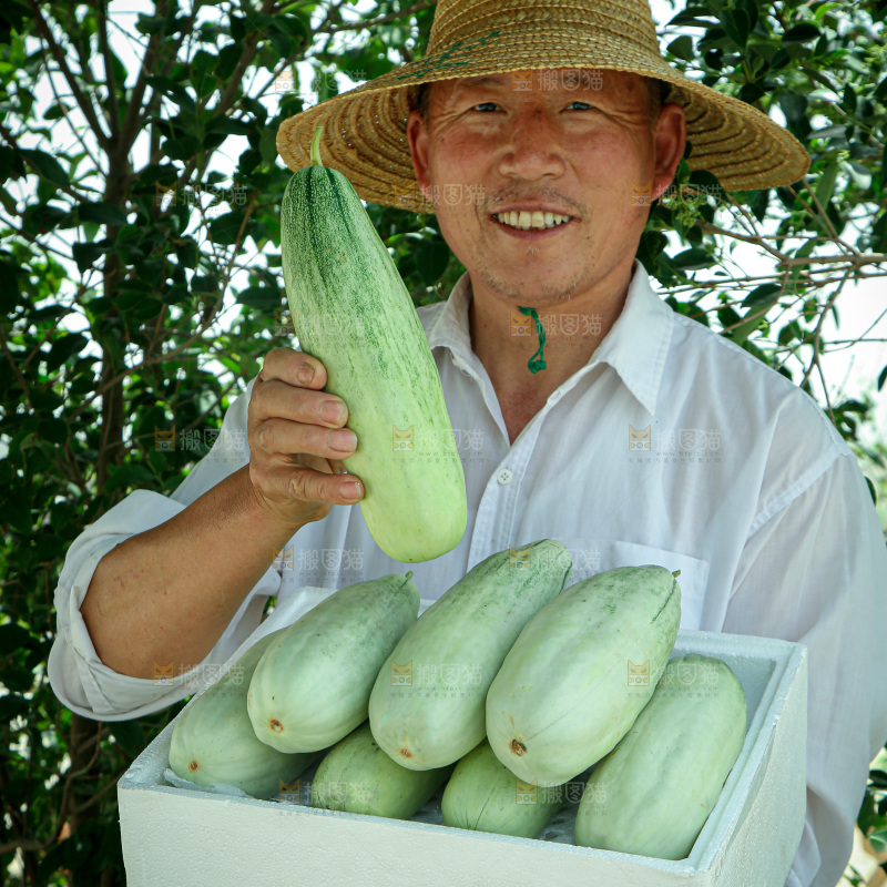 羊角蜜甜瓜