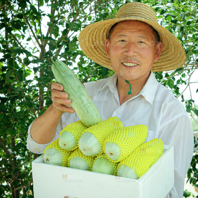 羊角蜜甜瓜