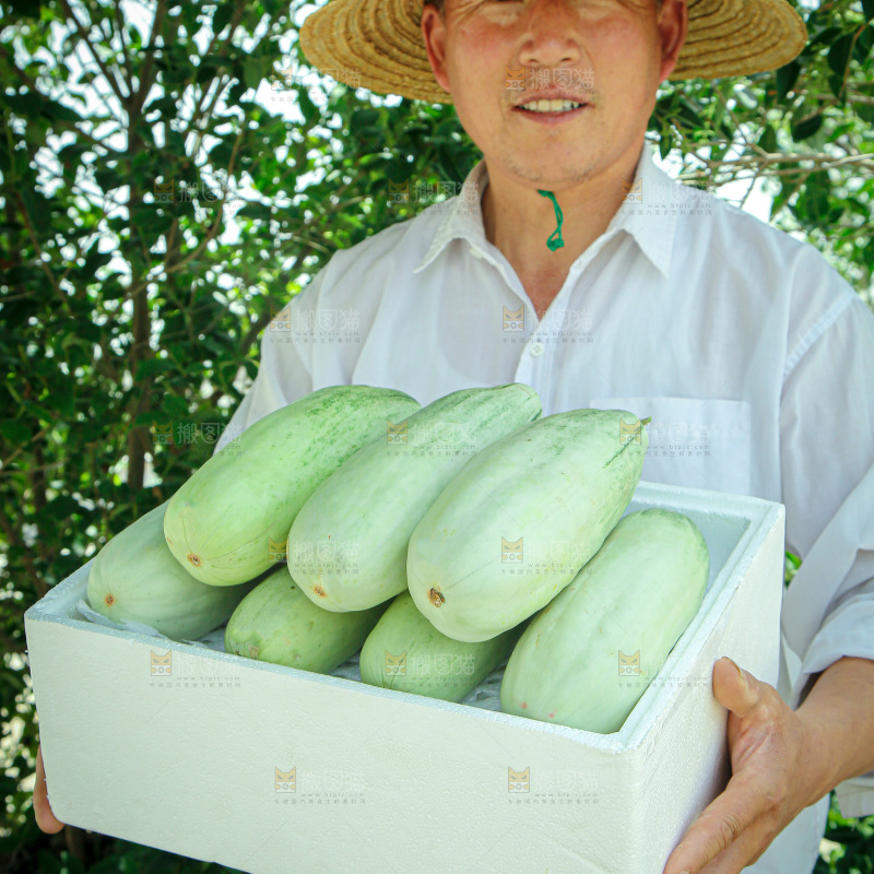 羊角蜜甜瓜