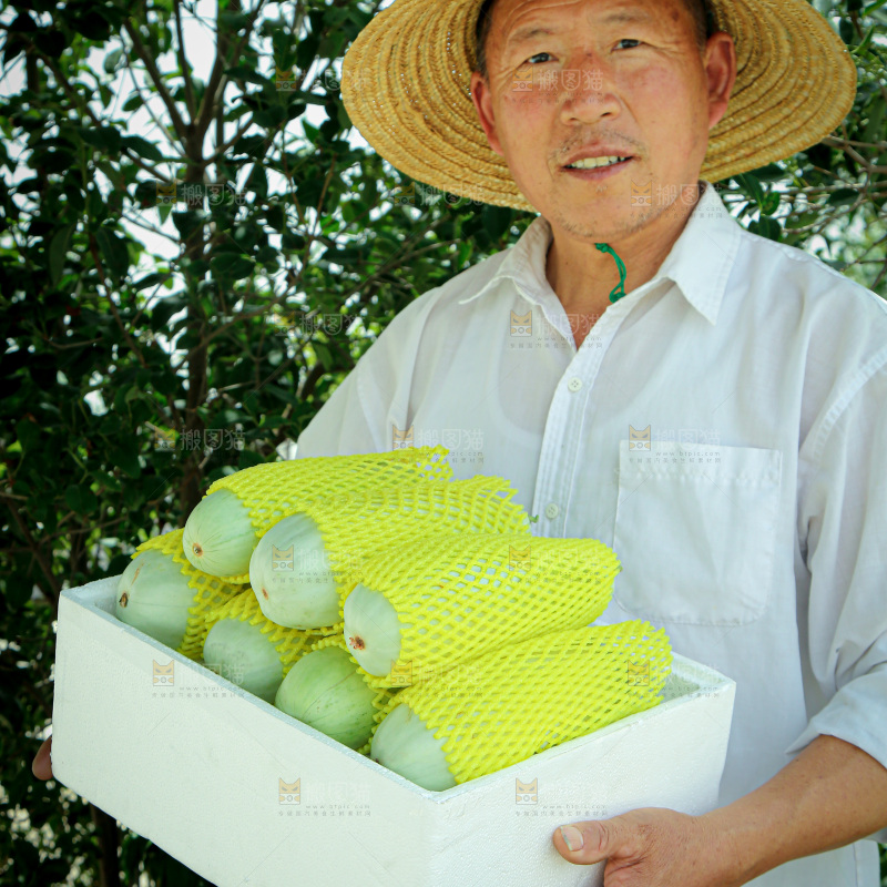 羊角蜜甜瓜