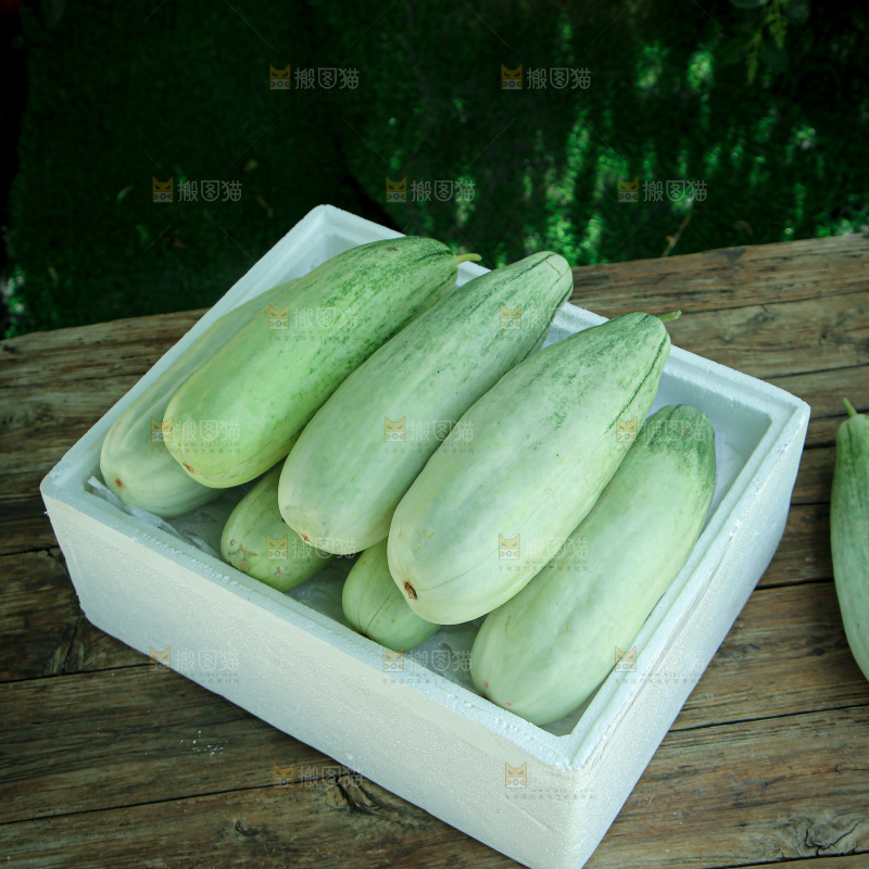 羊角蜜甜瓜