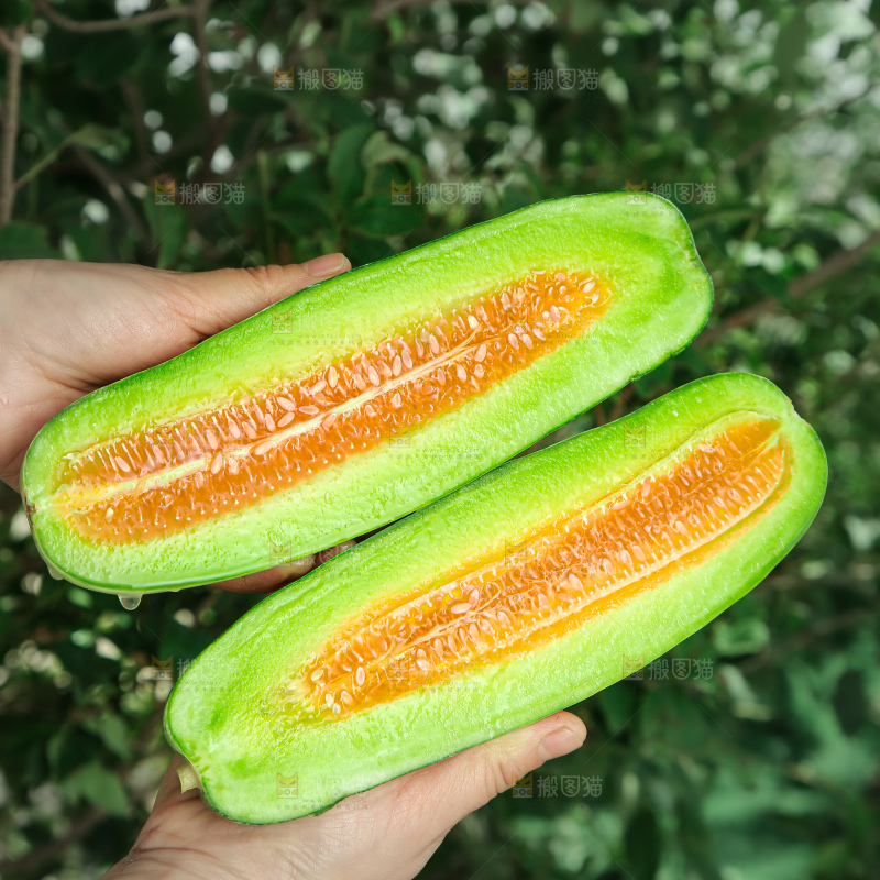 羊角蜜甜瓜