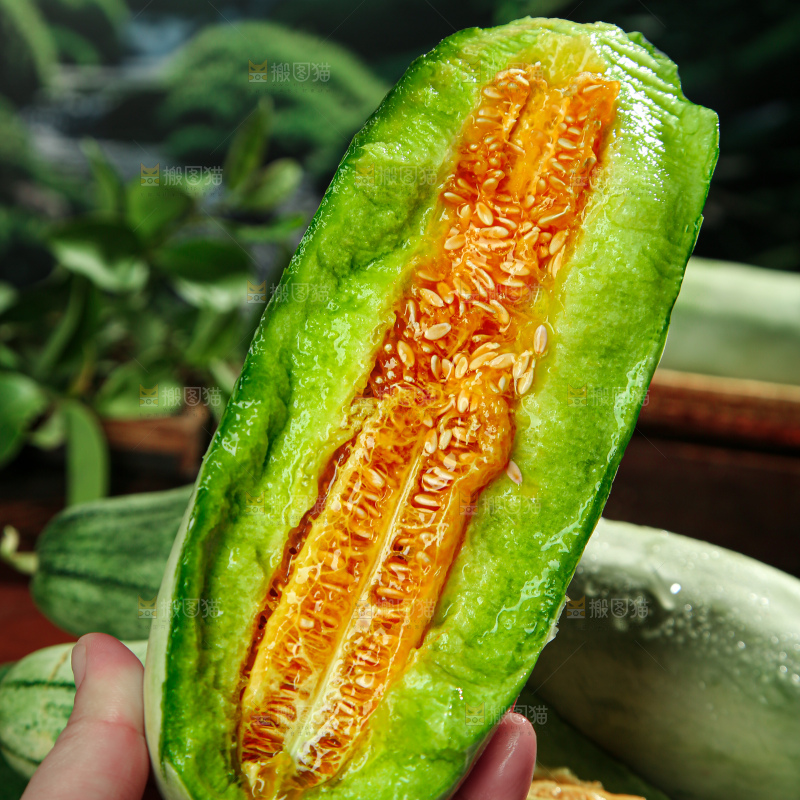 羊角蜜甜瓜