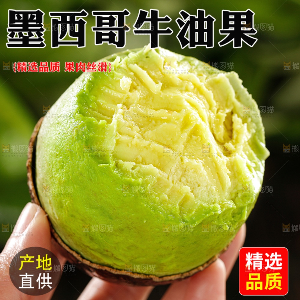 牛油果主图