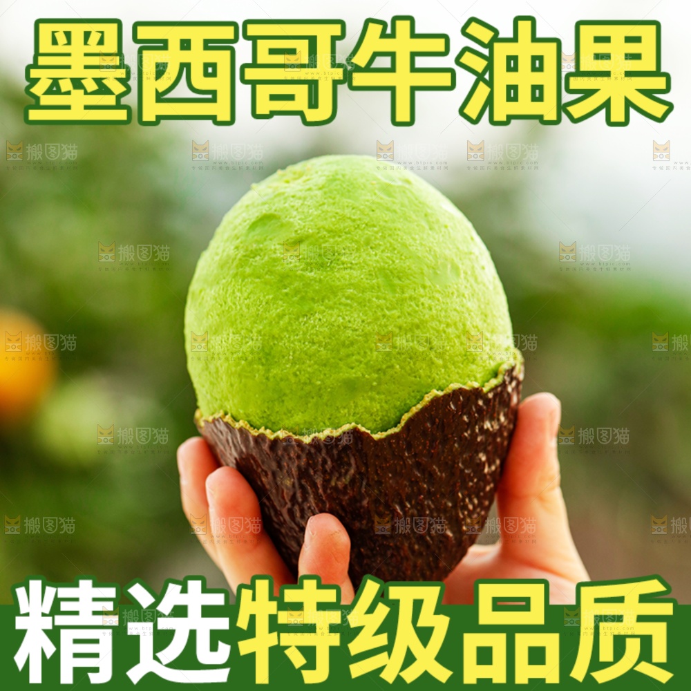牛油果主图