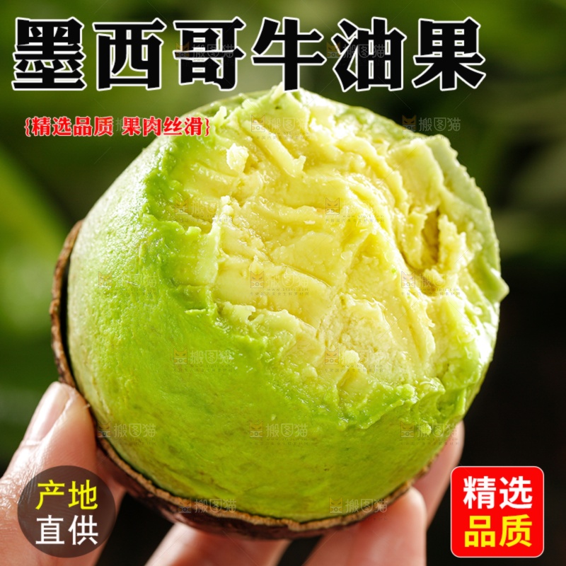 牛油果主图