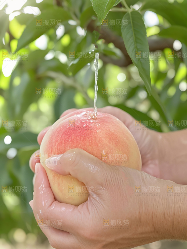 水蜜桃