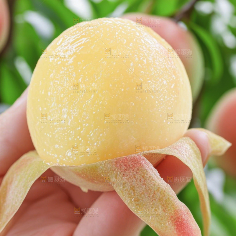 水蜜桃