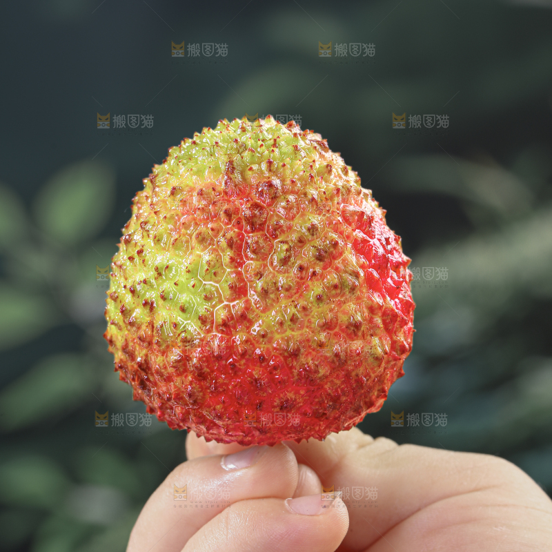 妃子笑荔枝