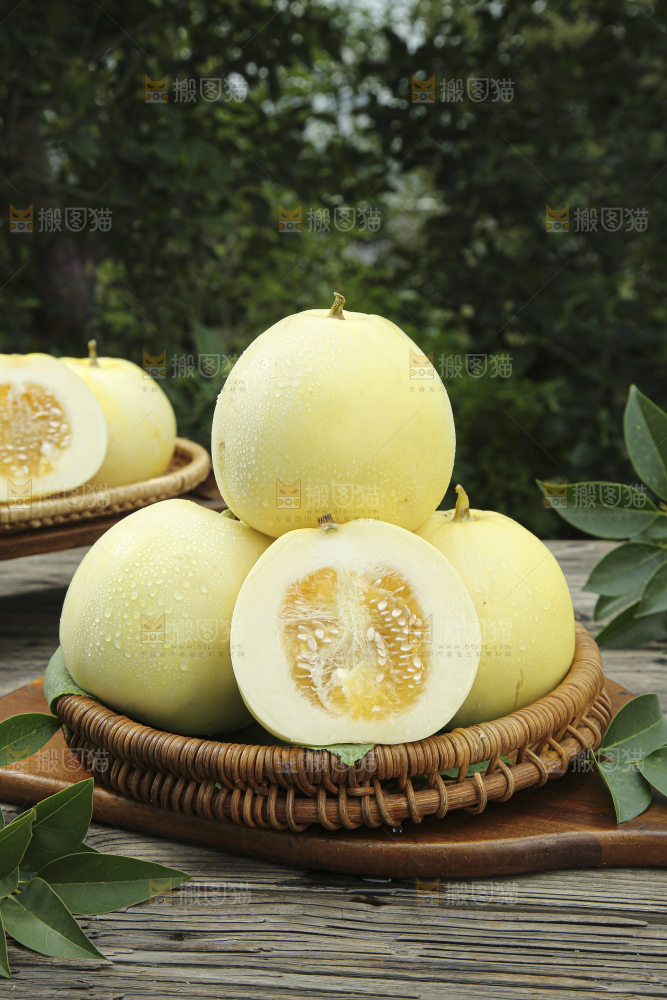 小蜜蜂甜瓜