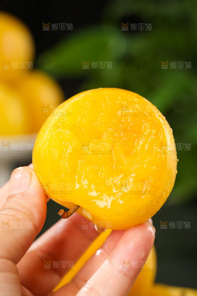 桃花李