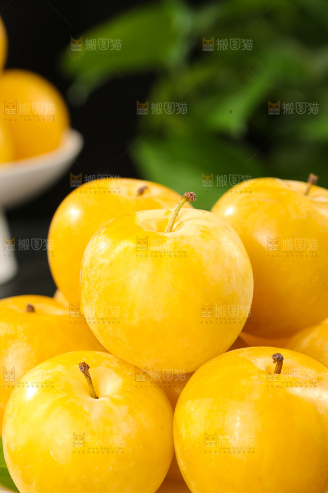 桃花李