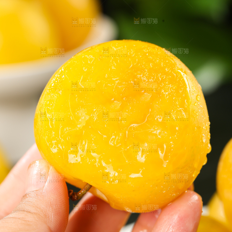桃花李