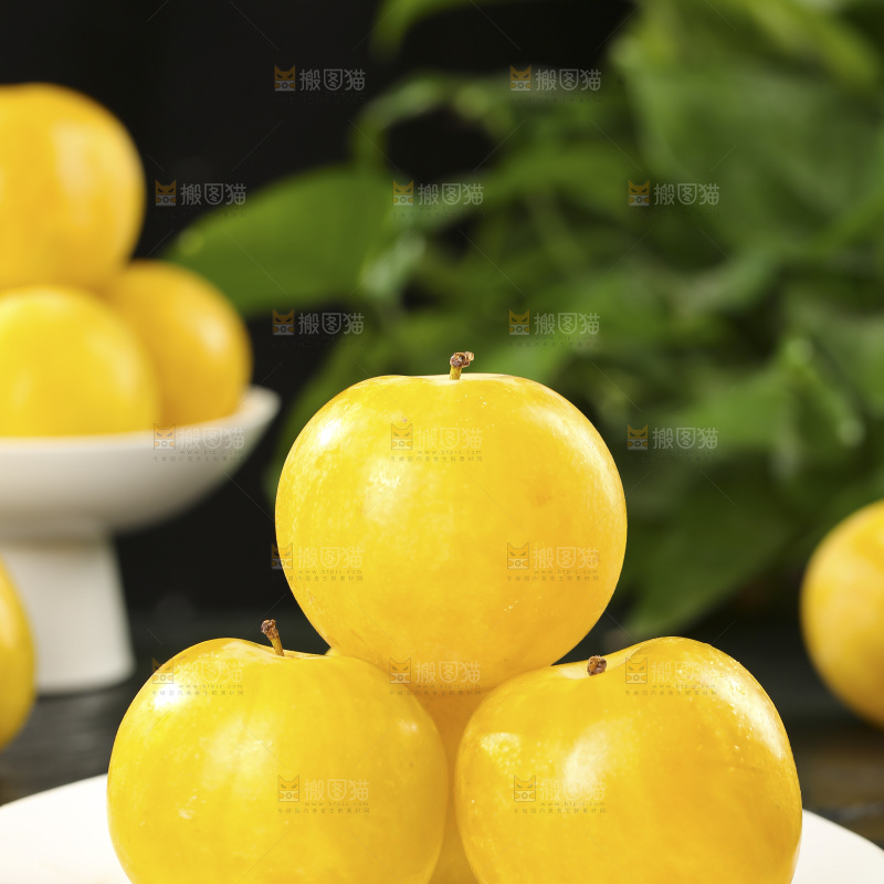 桃花李