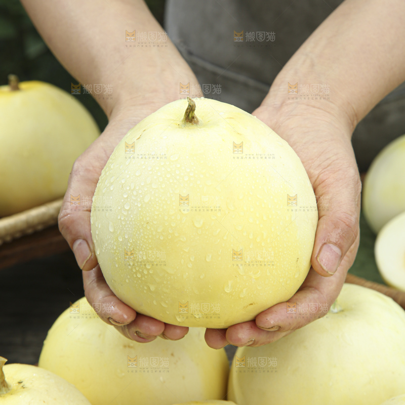 小蜜蜂甜瓜
