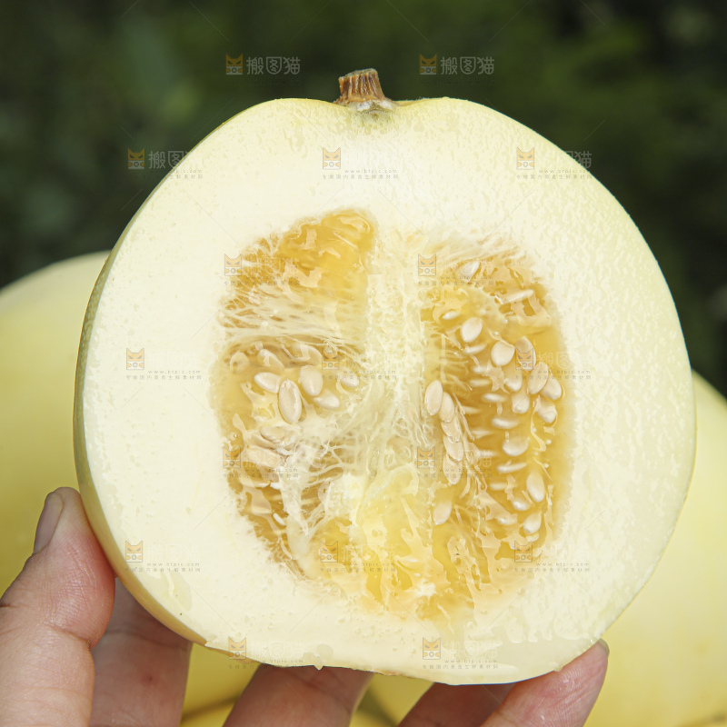 小蜜蜂甜瓜