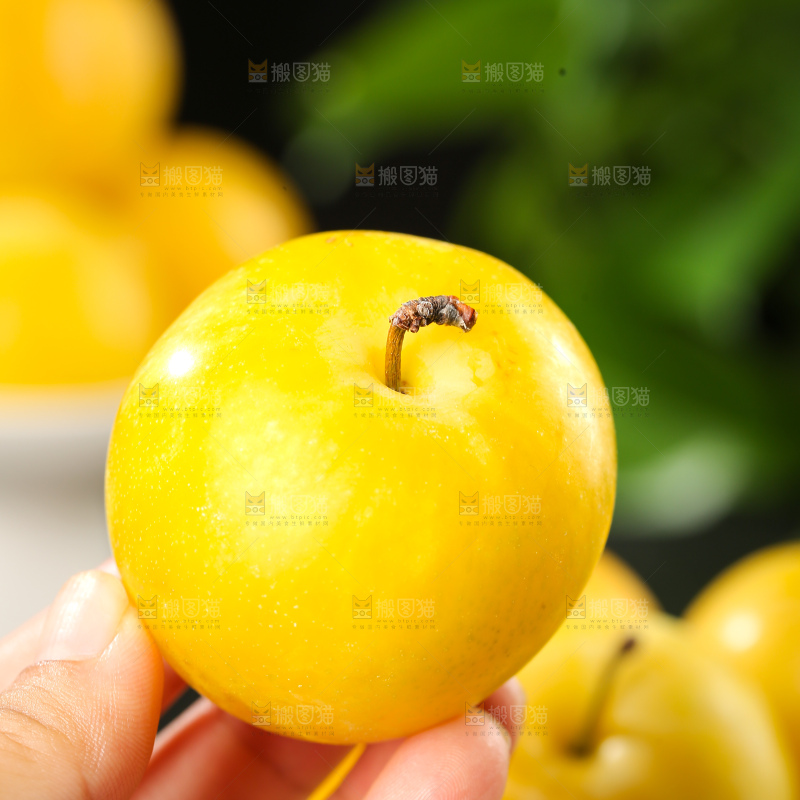 桃花李