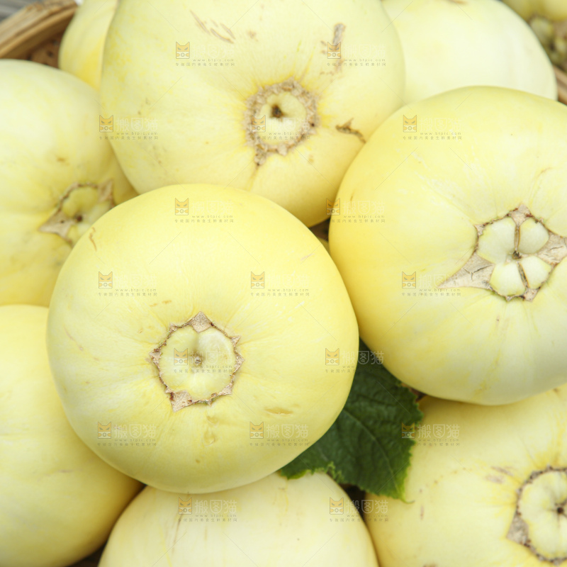 小蜜蜂甜瓜