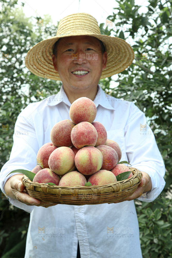 水蜜桃