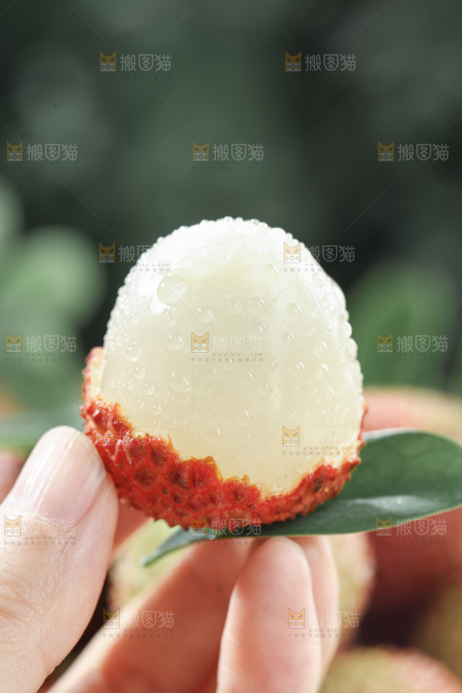 妃子笑荔枝