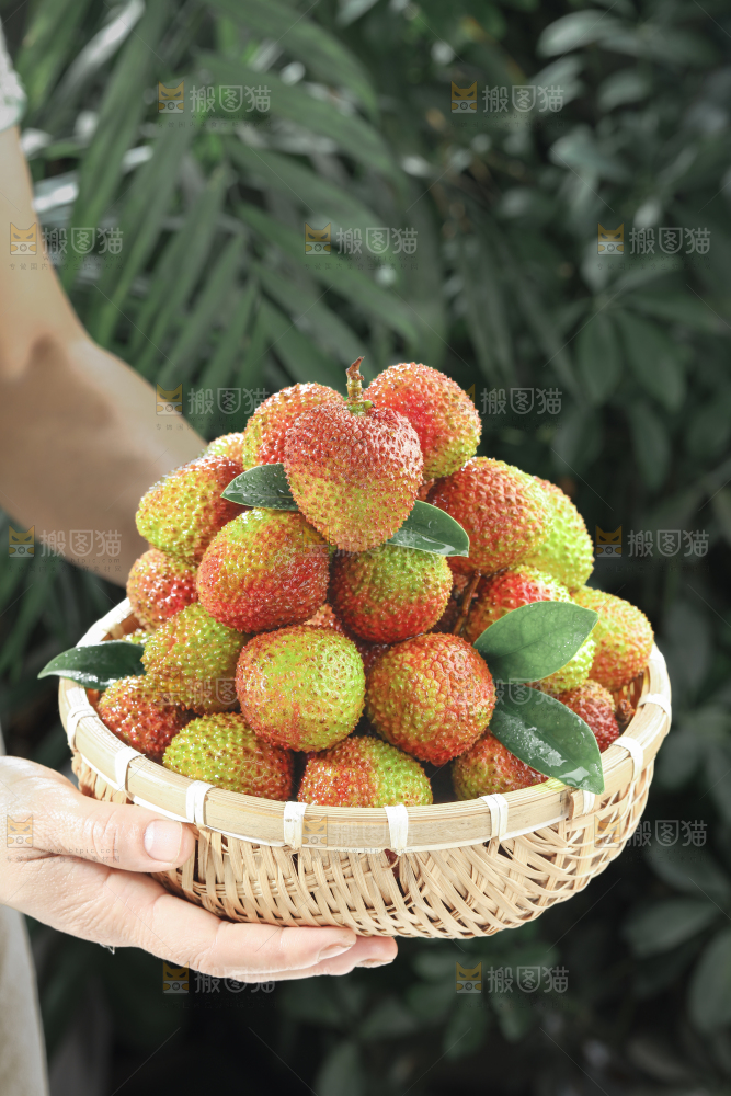 妃子笑荔枝