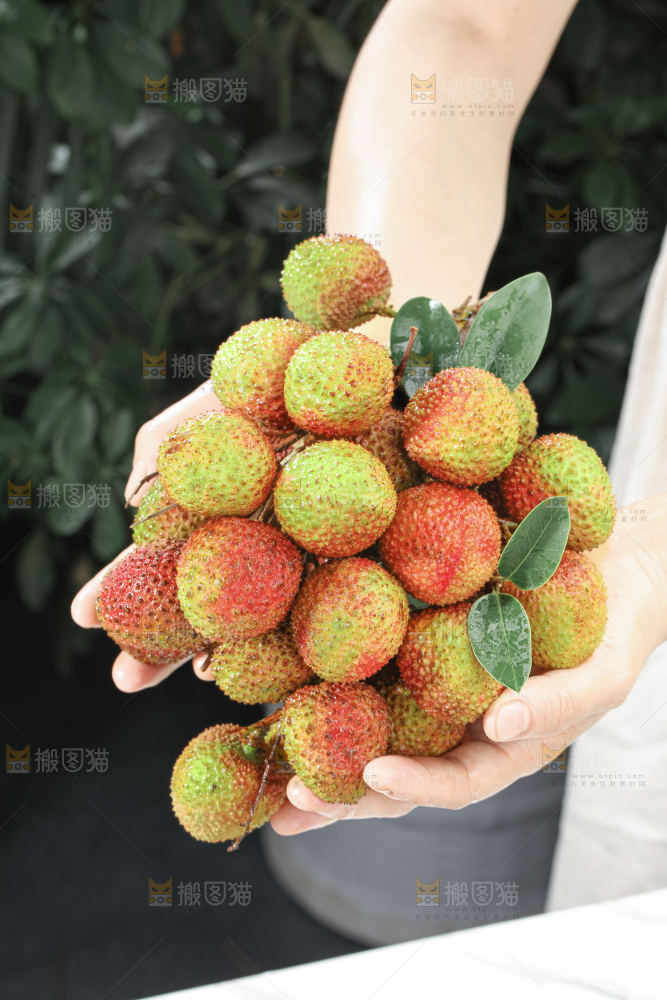 妃子笑荔枝