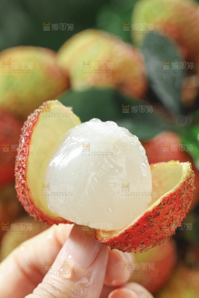 妃子笑荔枝