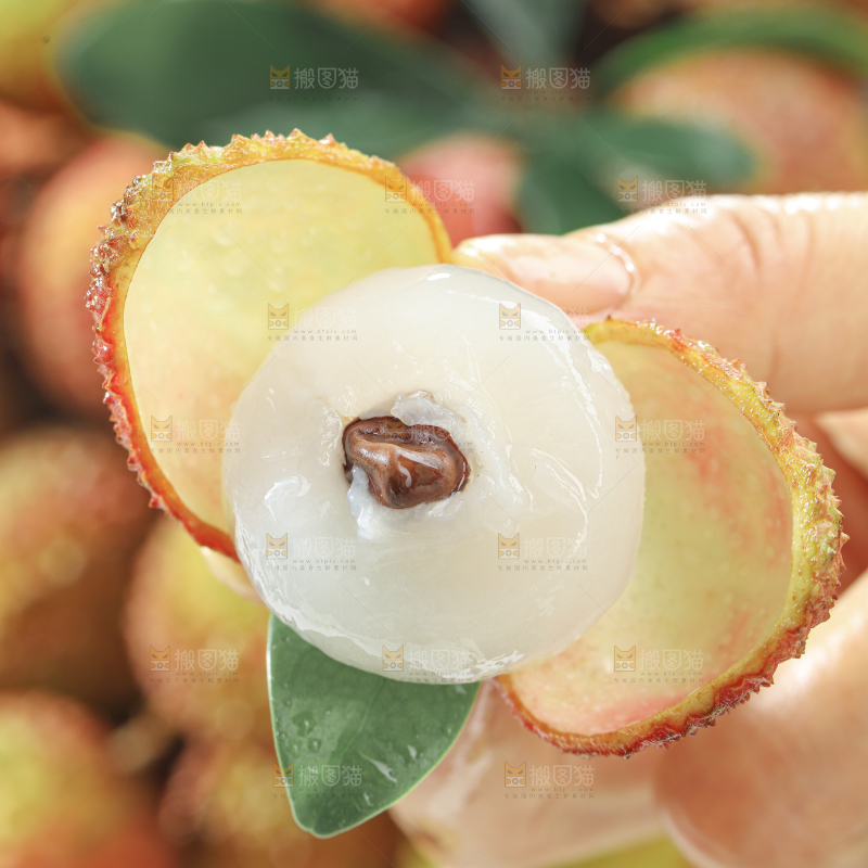 妃子笑荔枝