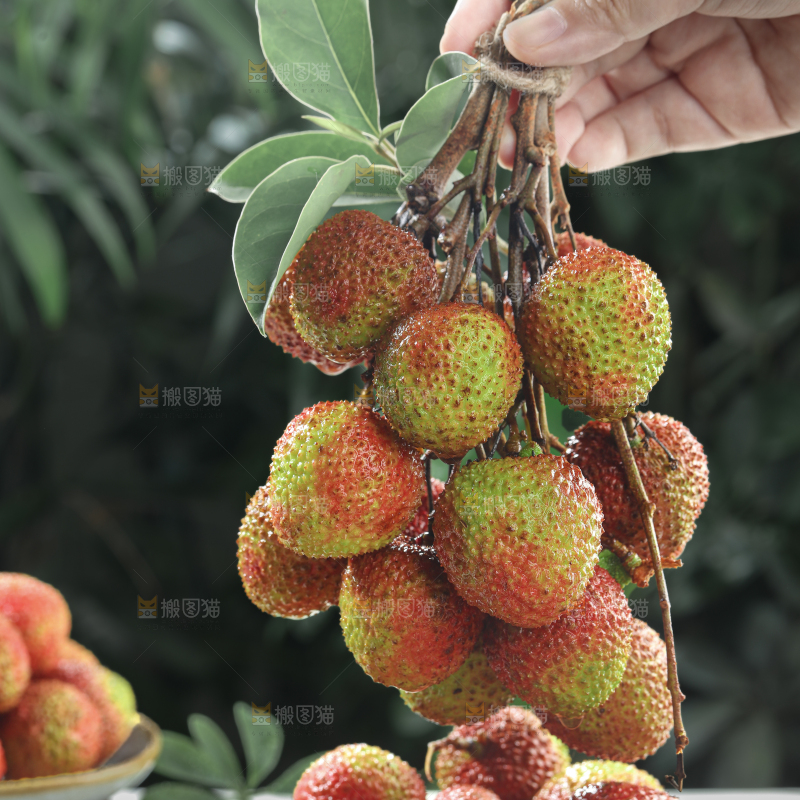 妃子笑荔枝