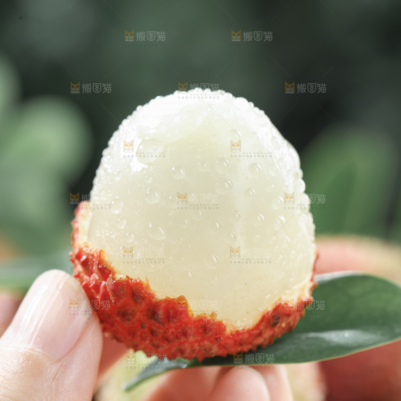 妃子笑荔枝