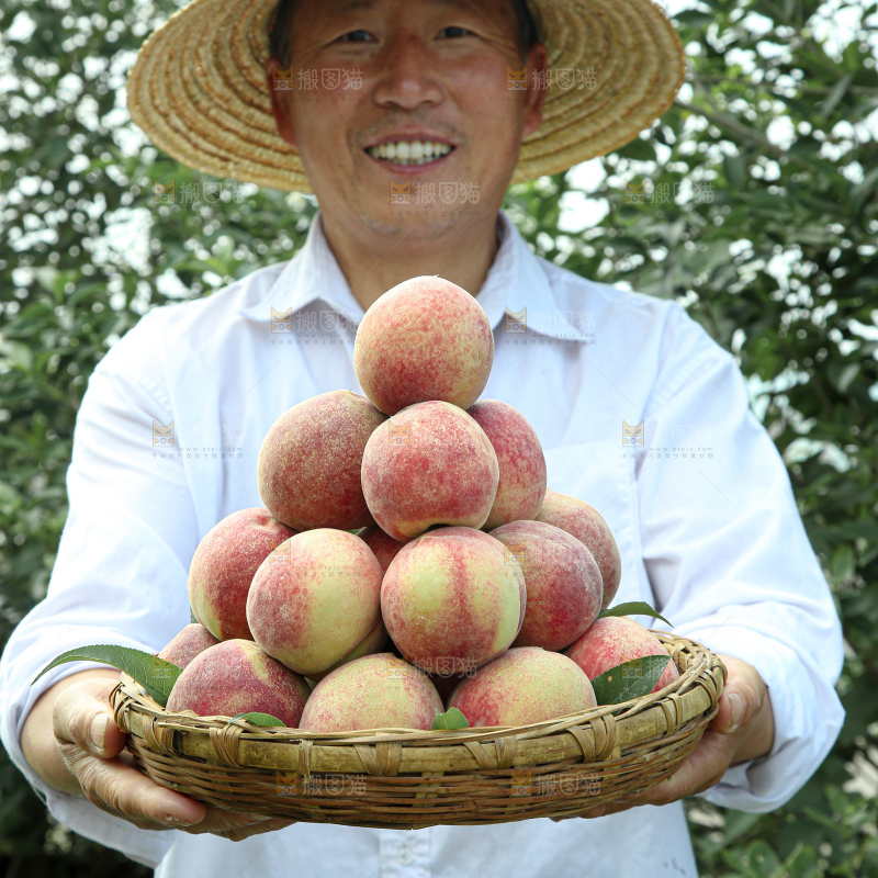水蜜桃