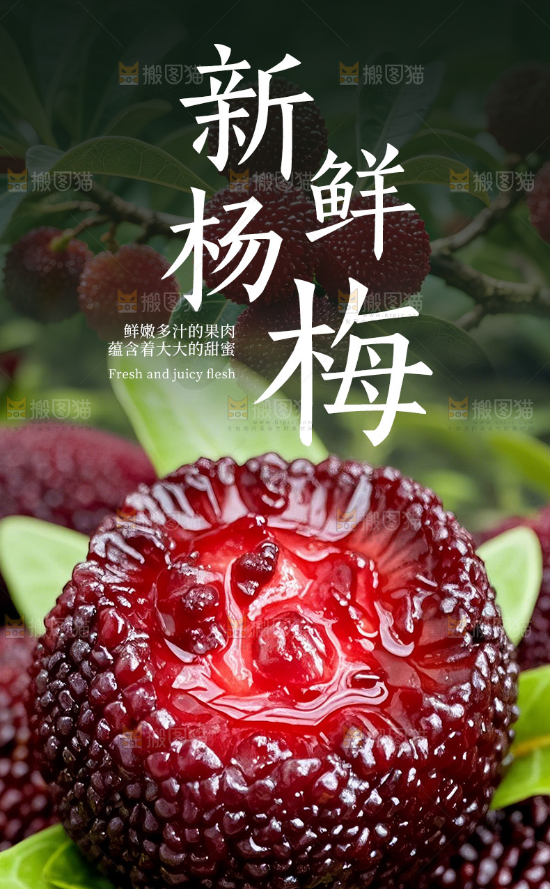 东魁杨梅详情页