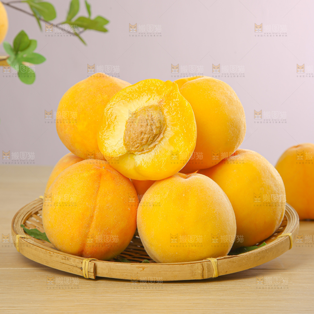黄毛桃