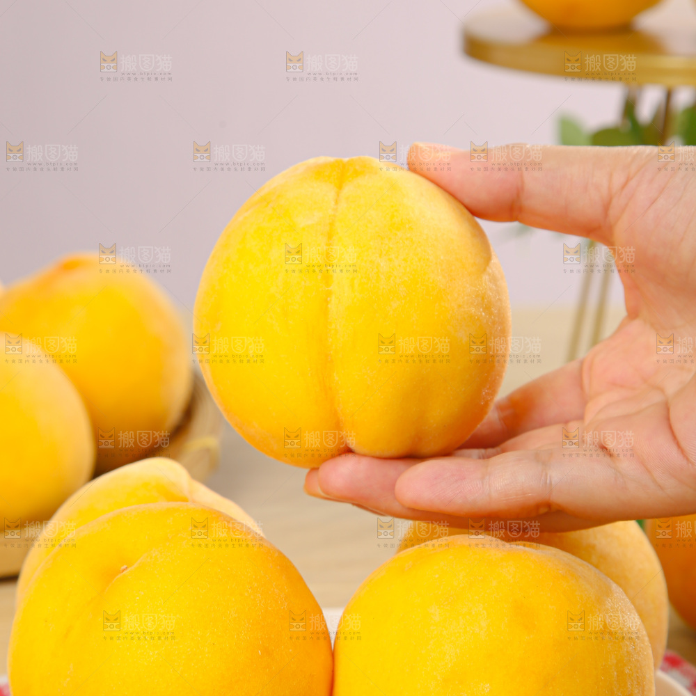 黄毛桃