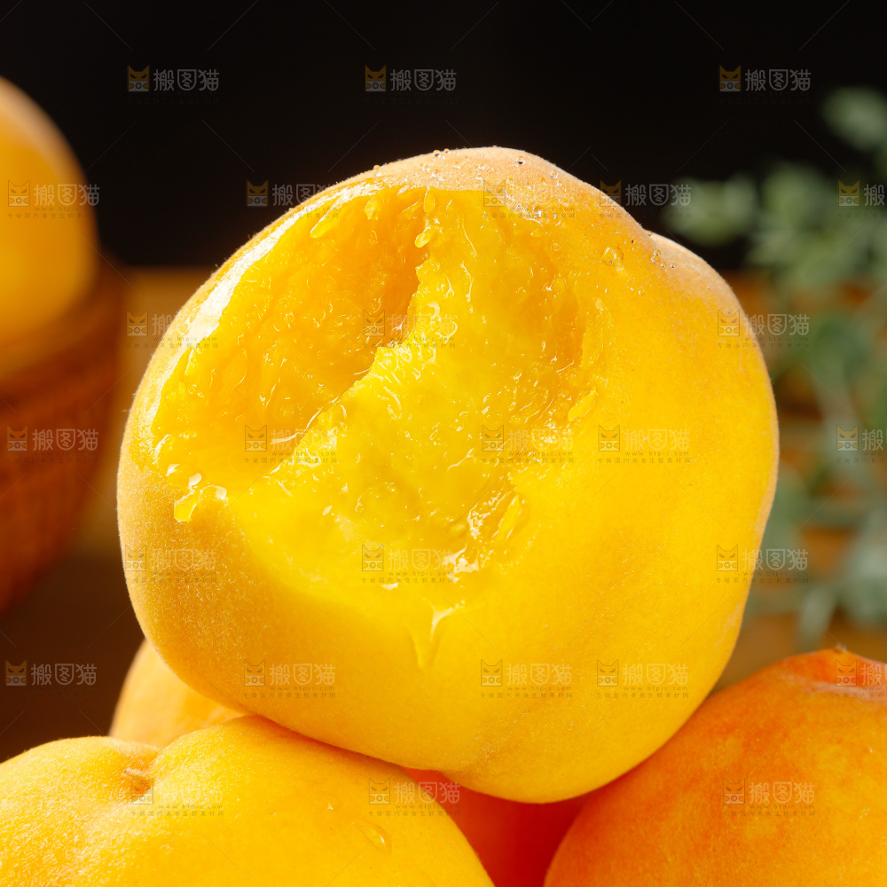 黄毛桃