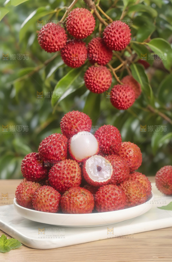 桂味荔枝