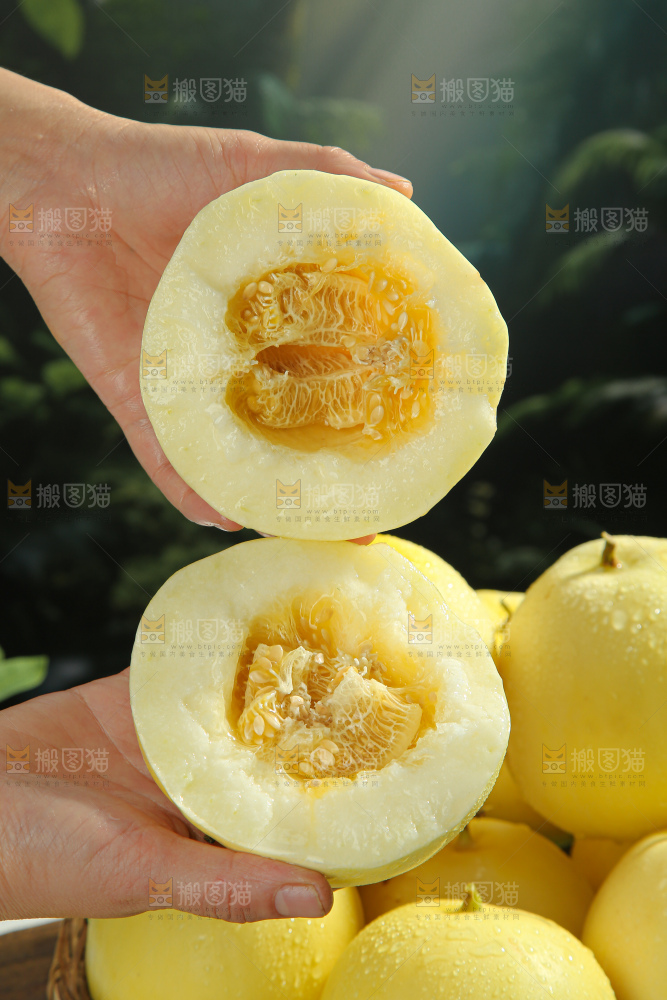小蜜蜂甜瓜