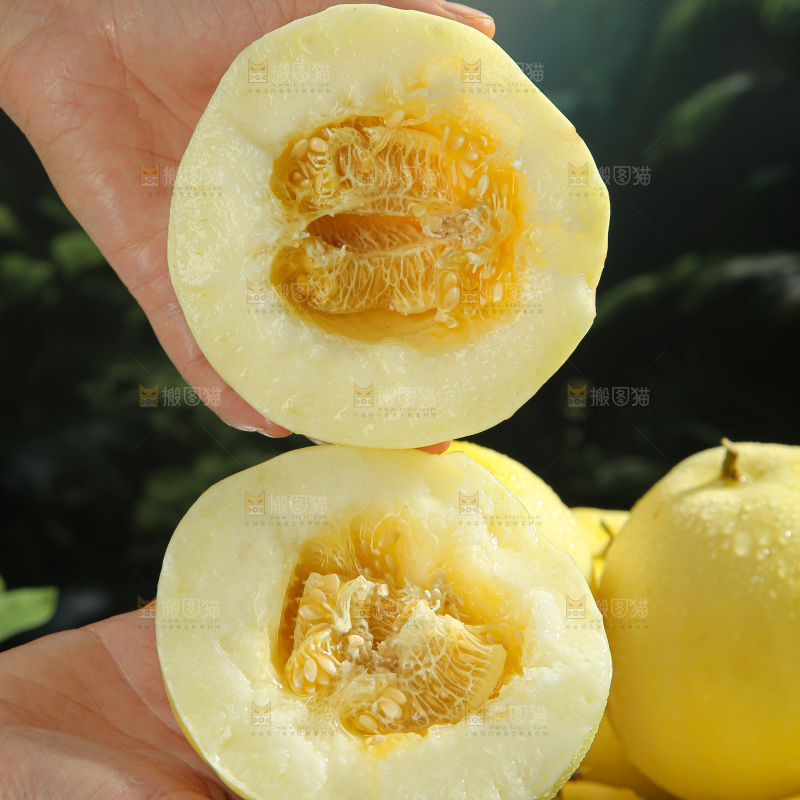 小蜜蜂甜瓜