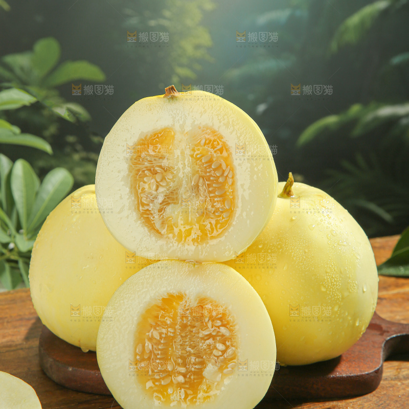小蜜蜂甜瓜