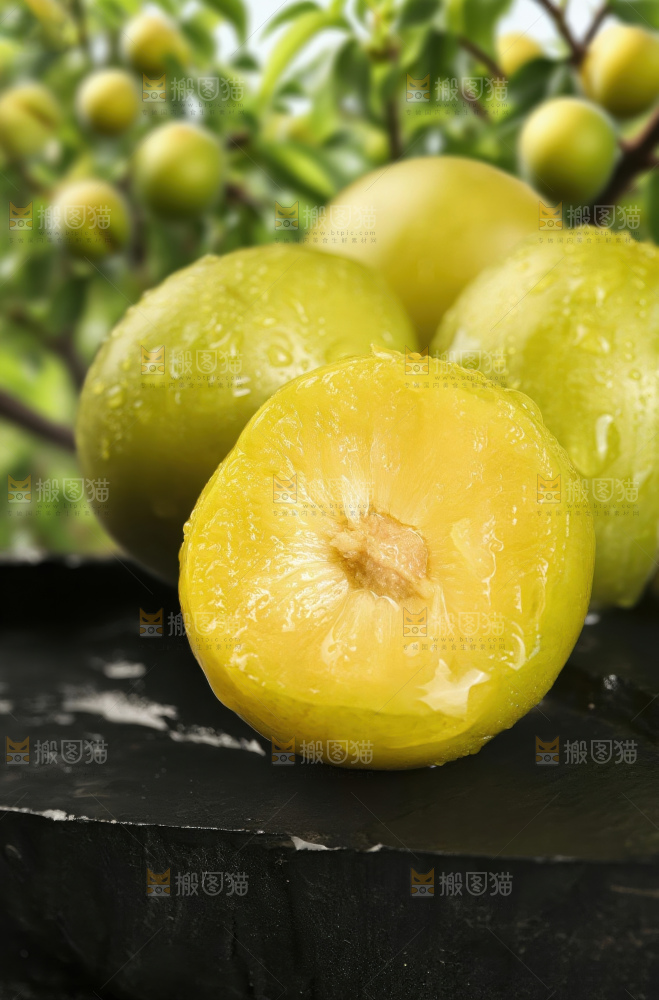 蜂糖李