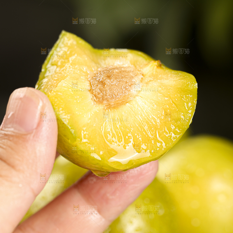 蜂糖李