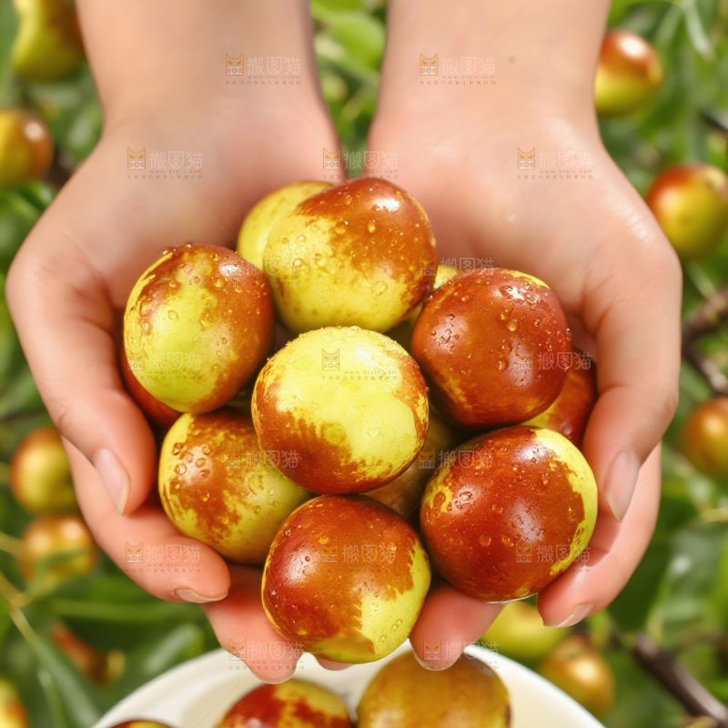 大荔冬枣